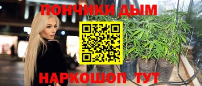 прущие крисы Кулебаки