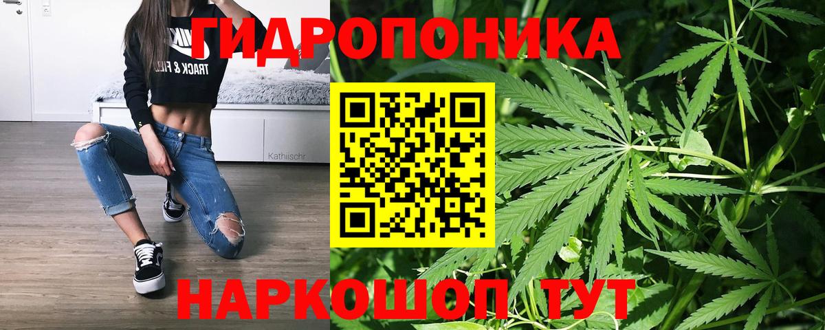 Каннабис гибрид Зерноград